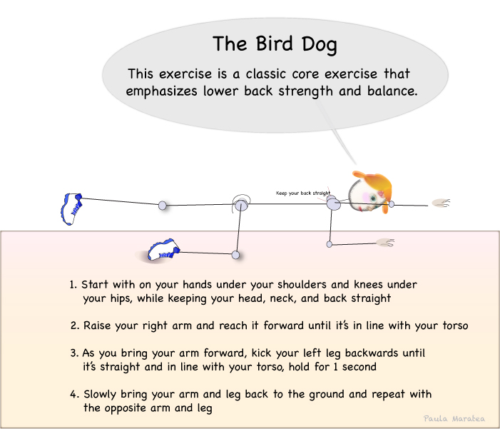 Do 10 reps for each side and repeat for 3 sets.